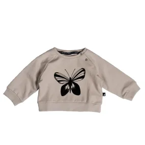 Anarkid Beige Butterfly SP Sweater