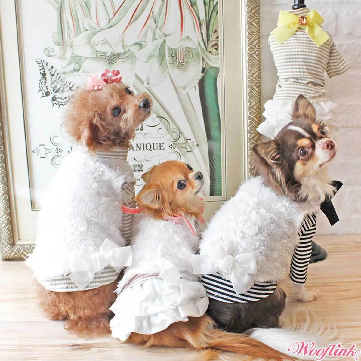 Baby Dog Vest