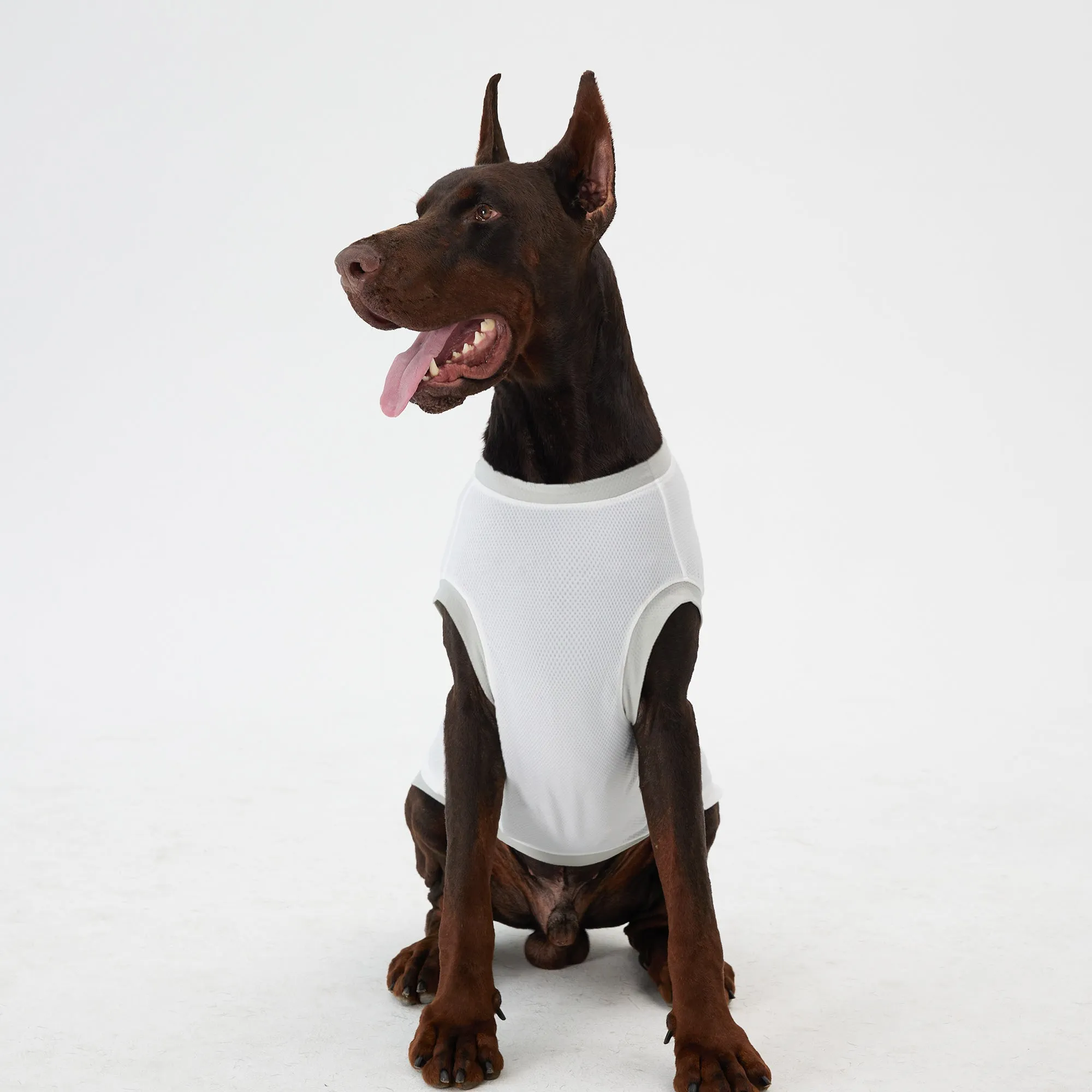 Elastic Ultrathin Dog Cooling T Shirt - White