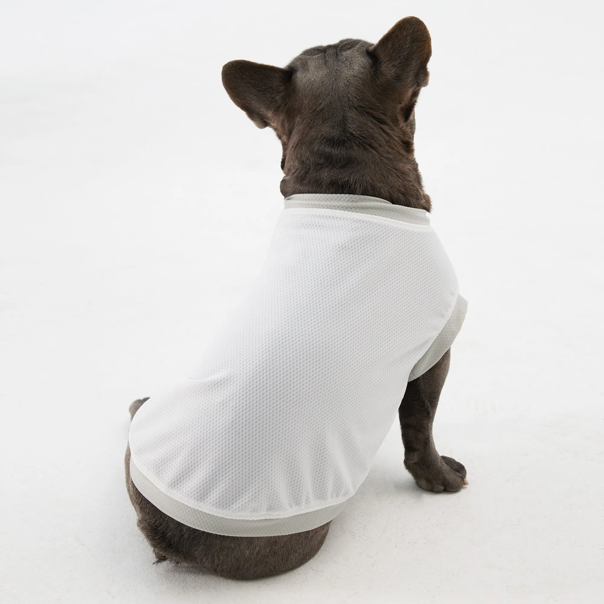 Elastic Ultrathin Dog Cooling T Shirt - White