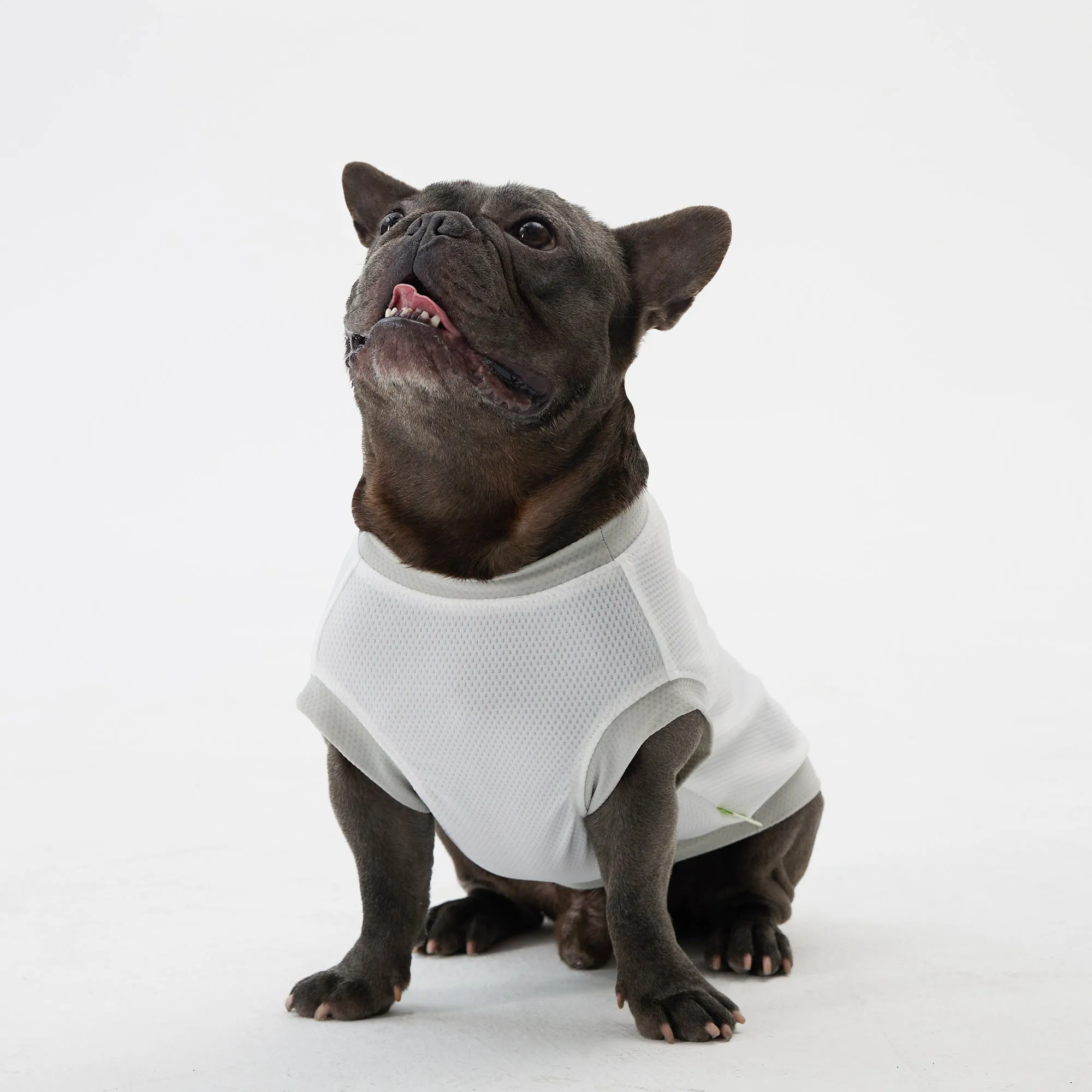 Elastic Ultrathin Dog Cooling T Shirt - White