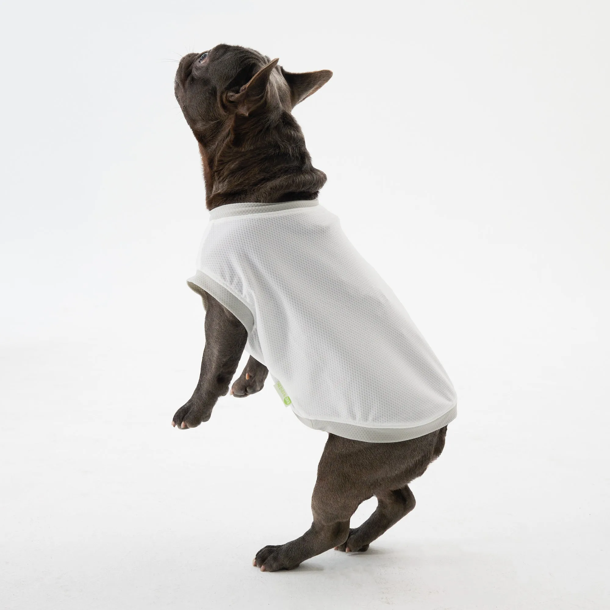 Elastic Ultrathin Dog Cooling T Shirt - White