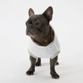 Elastic Ultrathin Dog Cooling T Shirt - White