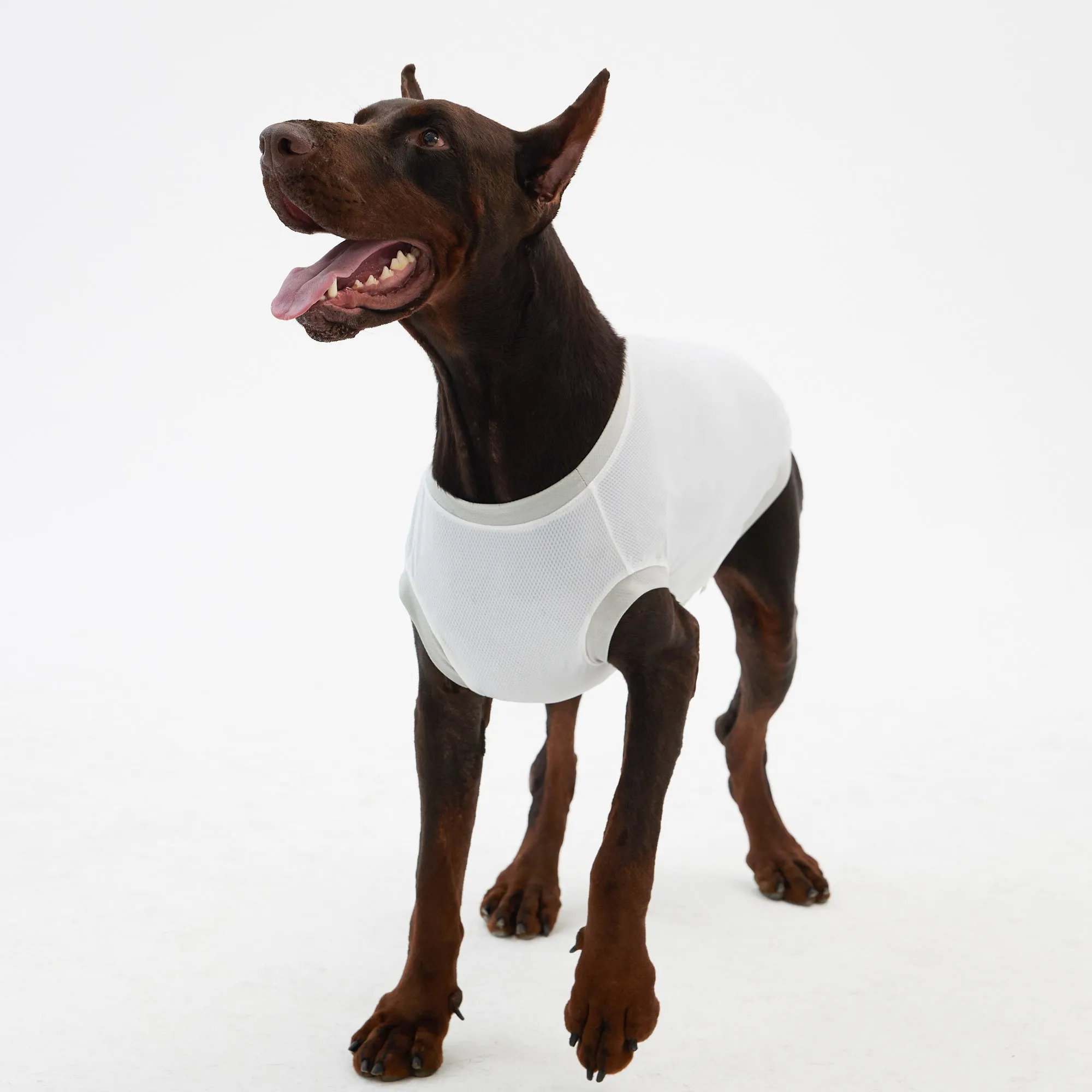 Elastic Ultrathin Dog Cooling T Shirt - White