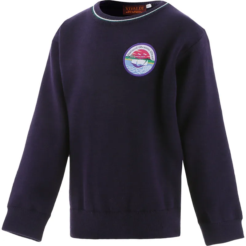 Gaelscoil Ghráinne Mhaol Jumper