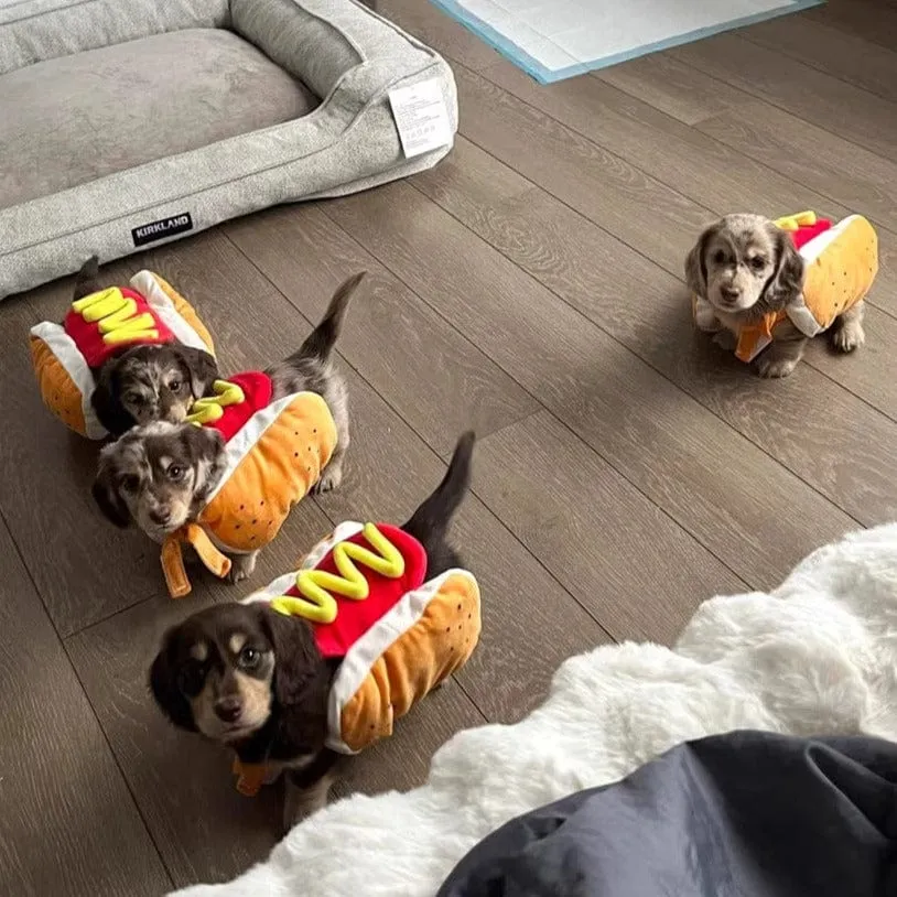 Hot Dog Dachshund Costume