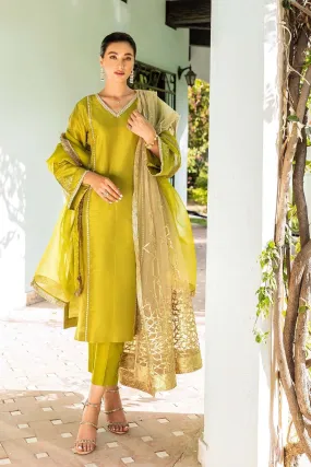 Natasha Kamal - Green Raw Silk Coord Set with Organza Dupatta - 3 Pieces