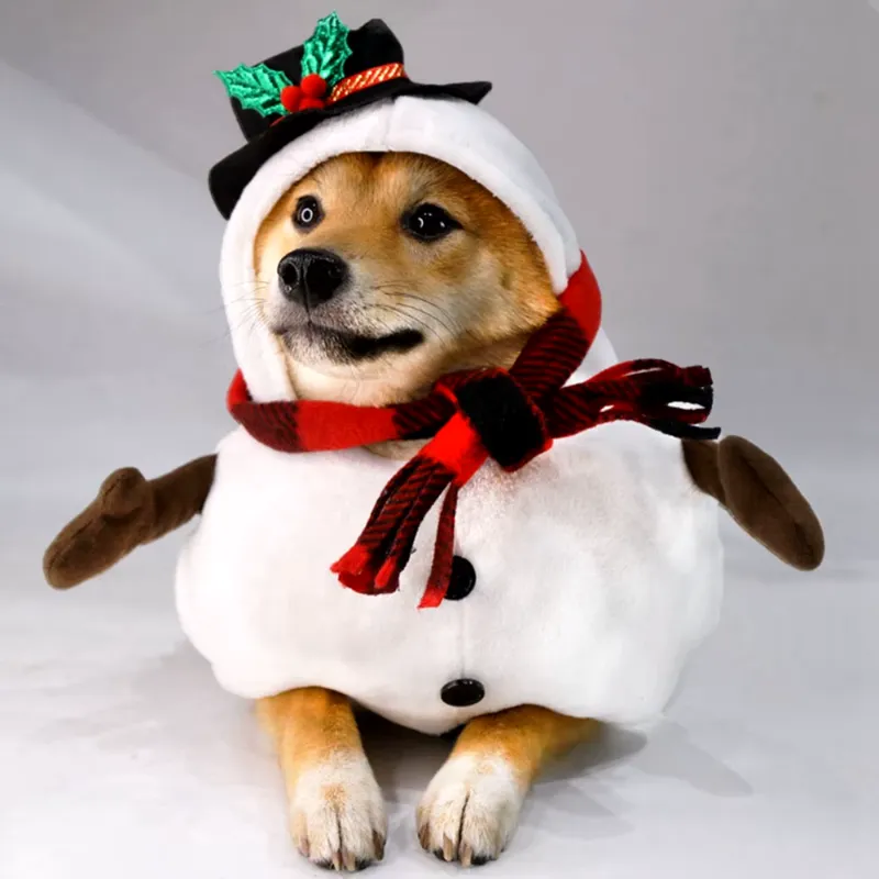 Olaf The Snowman Dog Costume