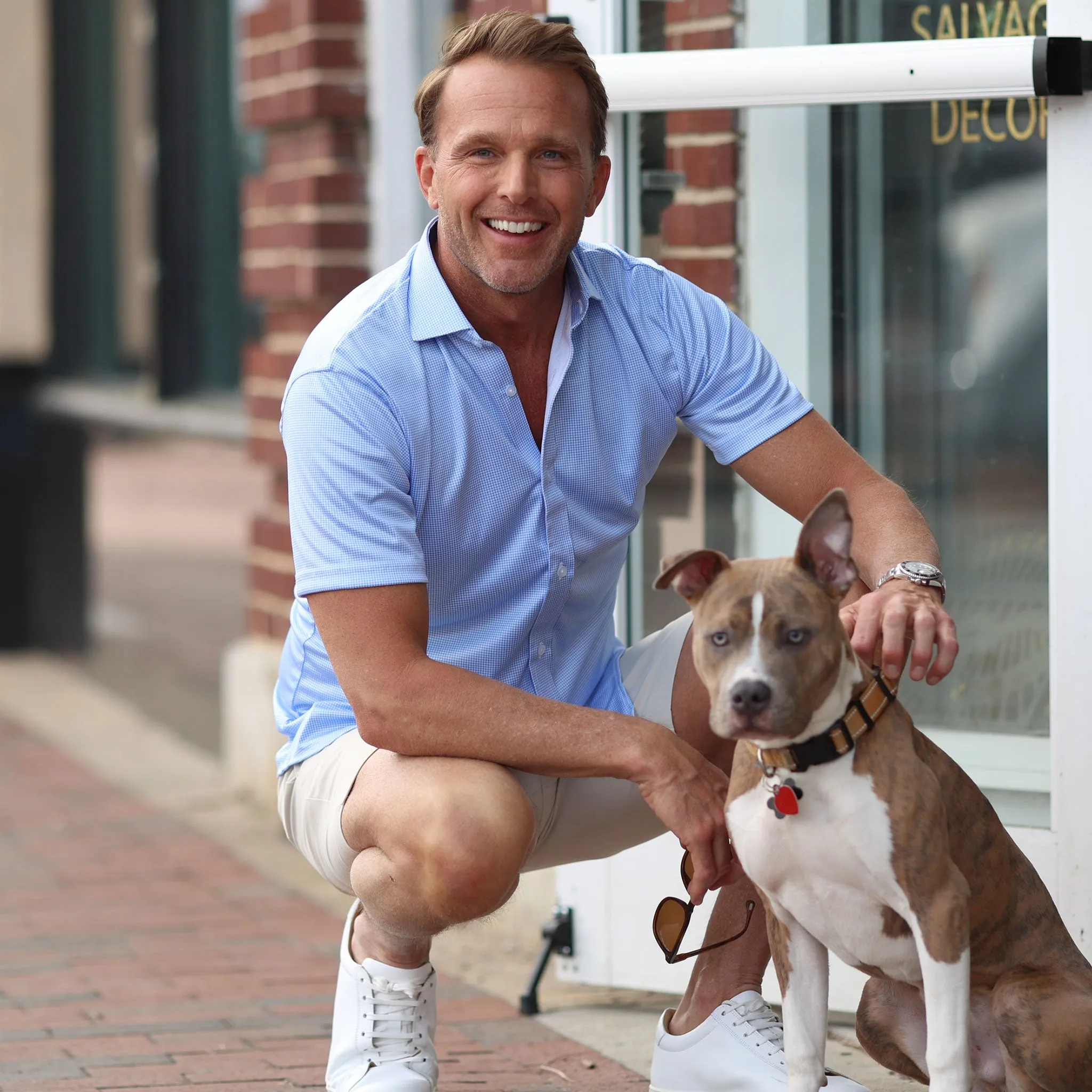 Quattro Flex Short Sleeve Button Down Blue Houndstooth