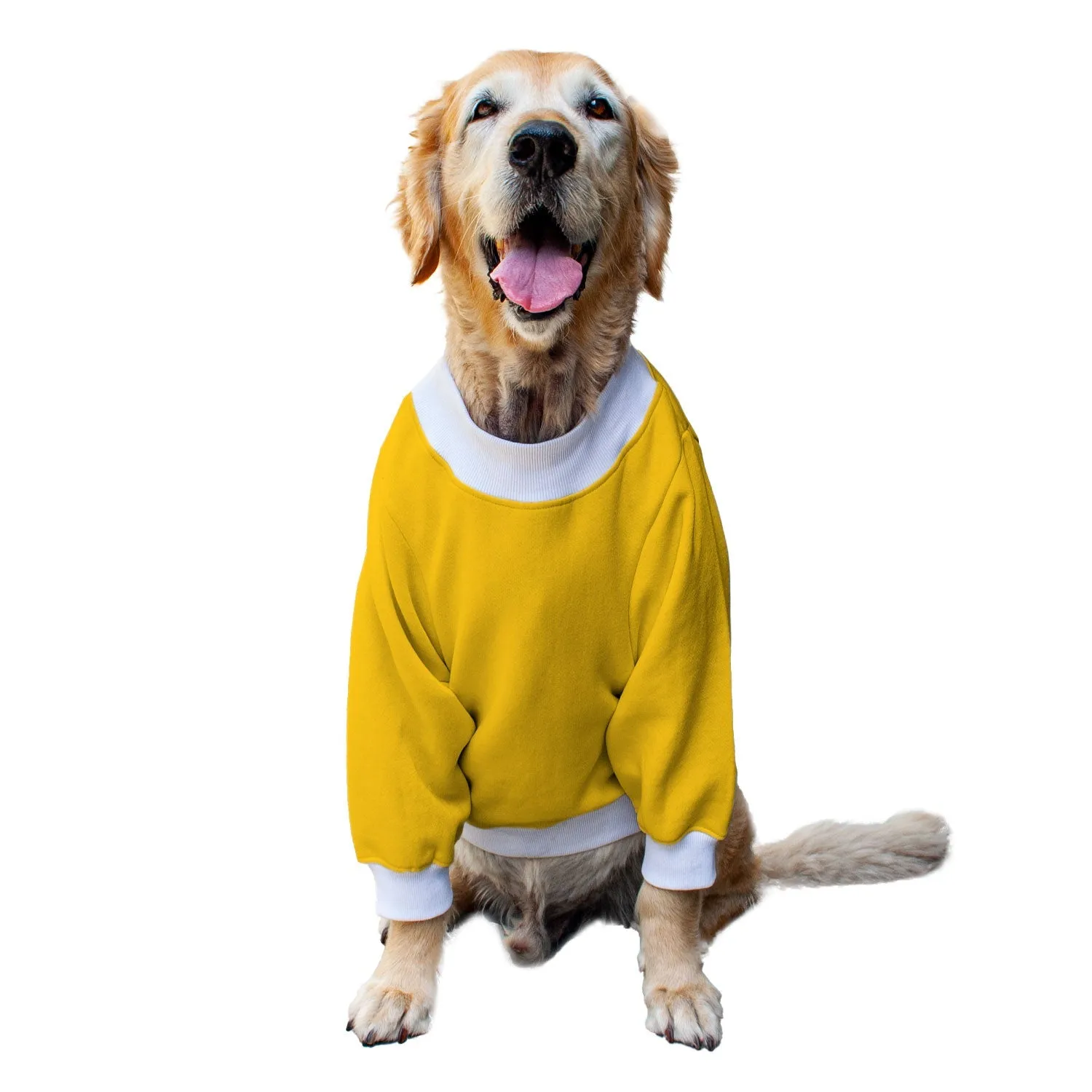 Ruse 'Basics' "Namasleigh" Printed Crew Neck Full Sleeve Sweatshirt For Dogs