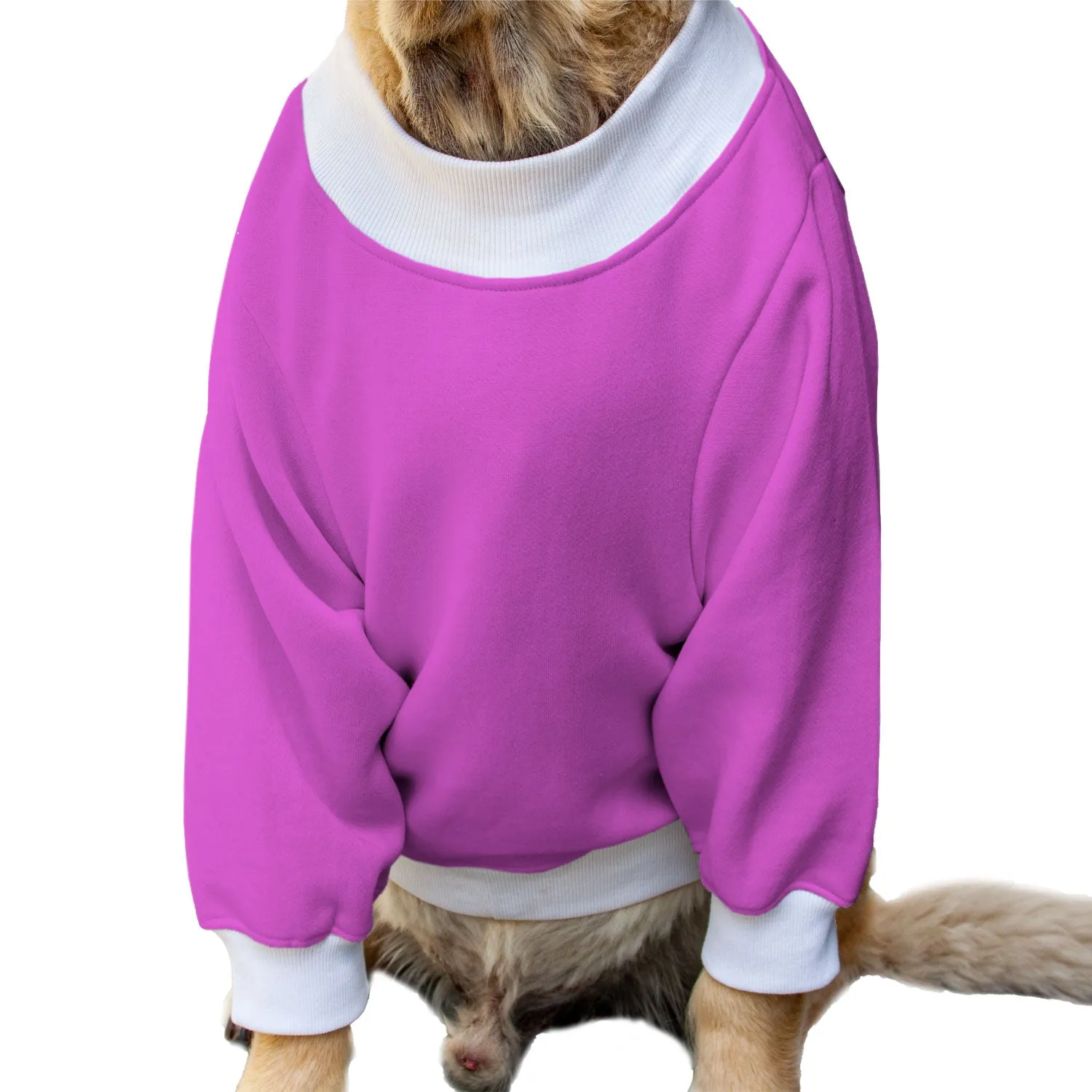 Ruse 'Basics' "Namasleigh" Printed Crew Neck Full Sleeve Sweatshirt For Dogs