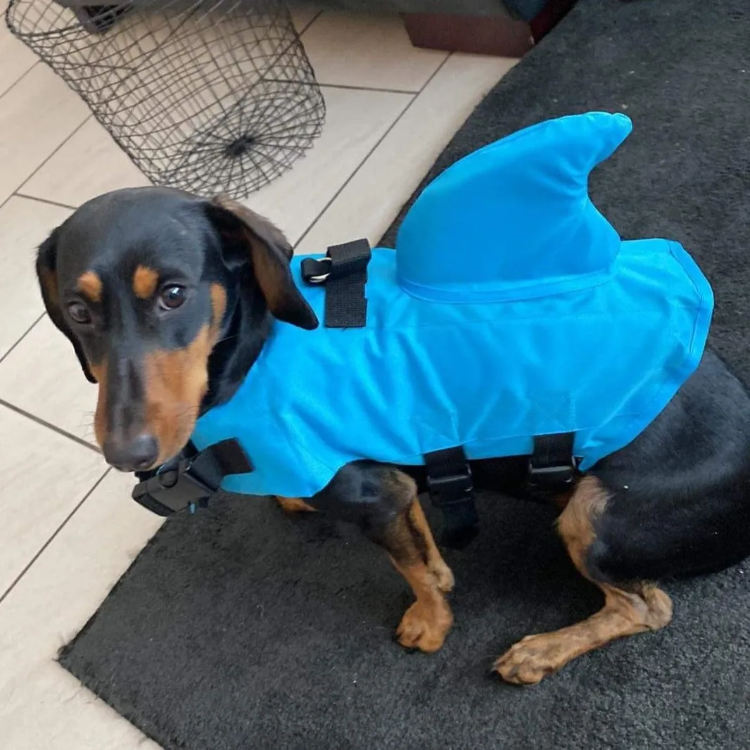 Shark Life Jacket For Dachshund